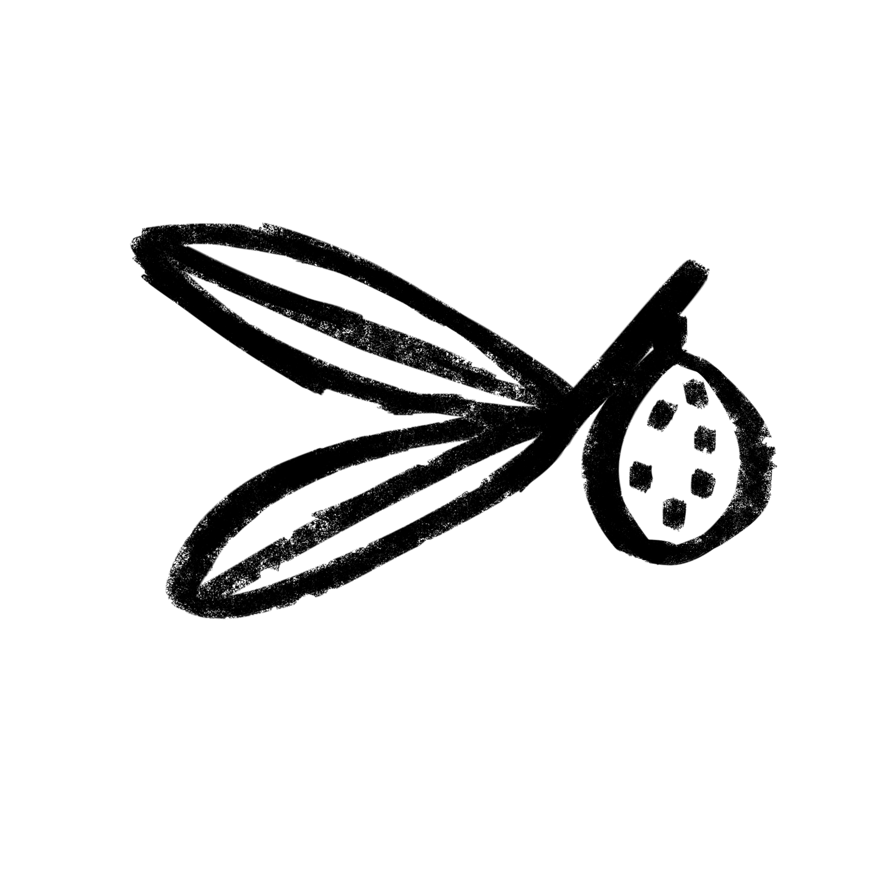 olive decorative icon